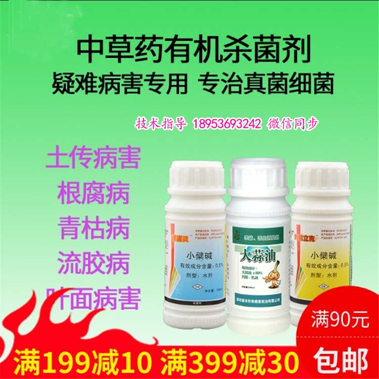 西瓜死棵青枯不用怕！青枯立克+地力旺，生物修复制剂助力西瓜重获新生