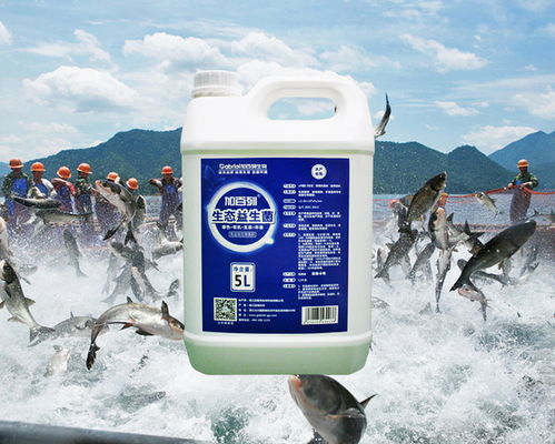 水产养殖用微生物制剂 特性、作用与使用方法详解
