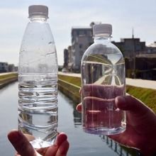 泰安黑臭水体治理工程中生物修复剂与生物修复制剂的应用与展望