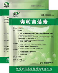 绿色环保新方案 水产微生态制剂在杀灭蓝绿藻与生物修复中的应用